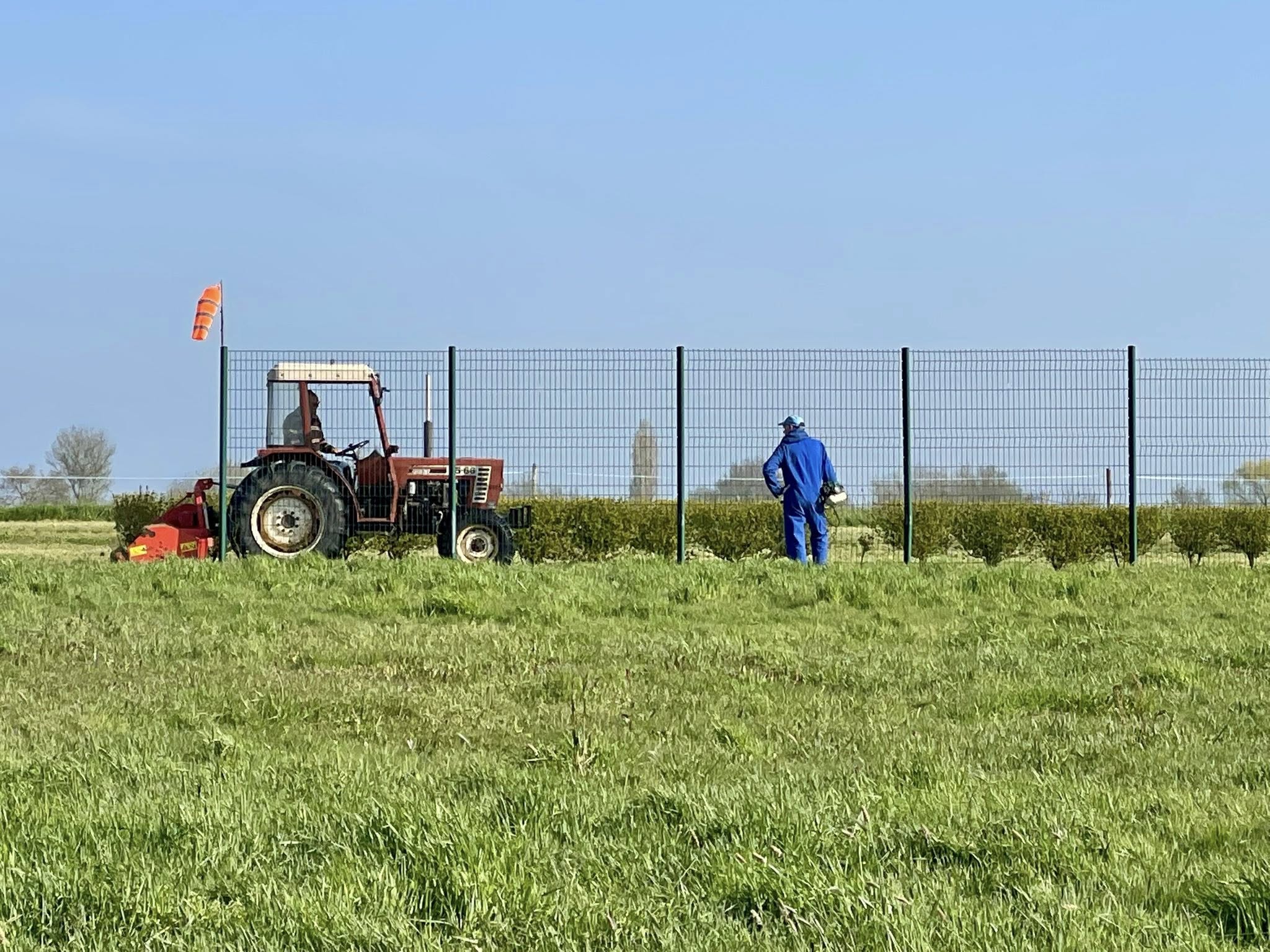 Travaux bénévoles au terrain
